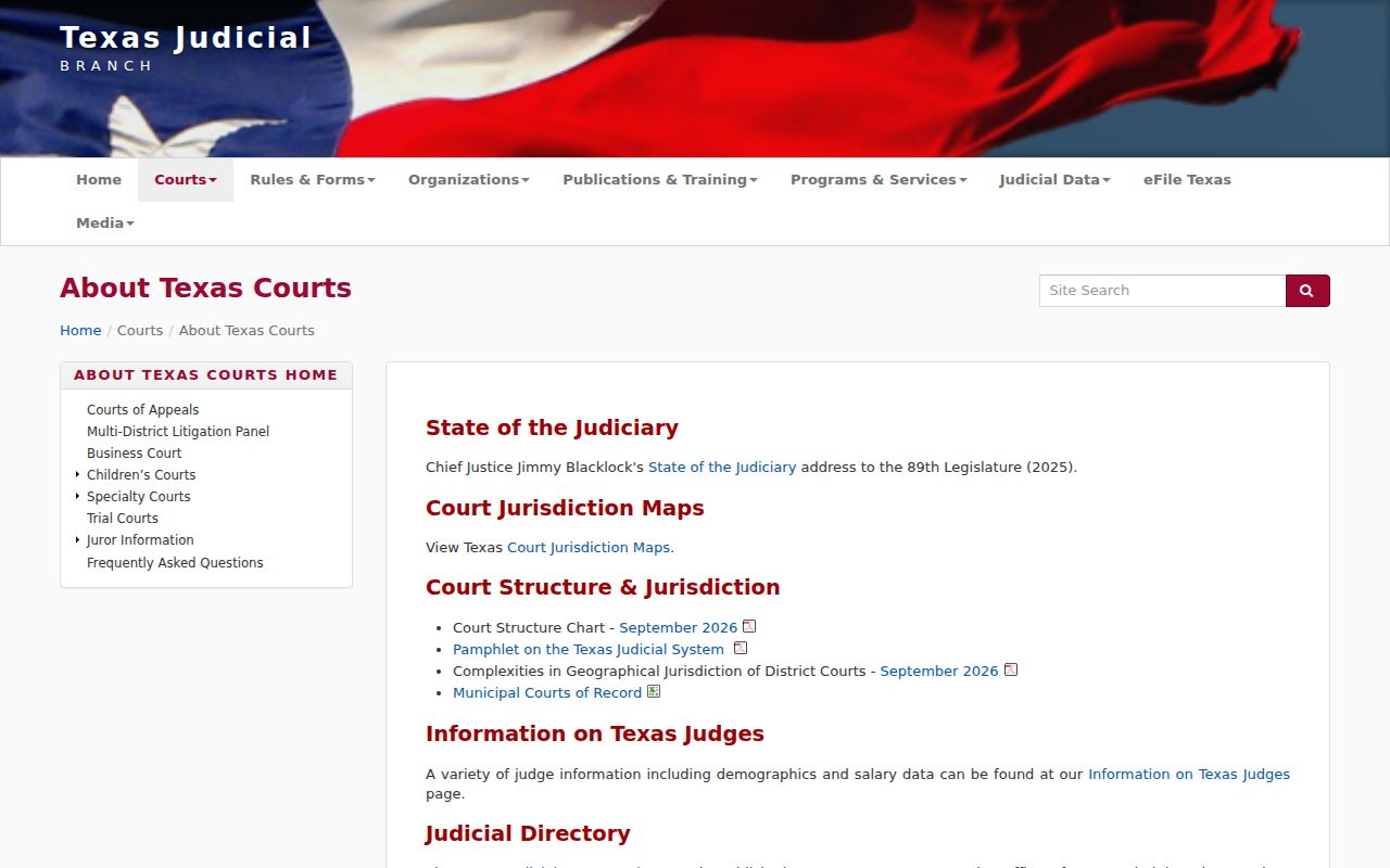 Cass County arrest warrant reference, Texas Judicial Branch court structure